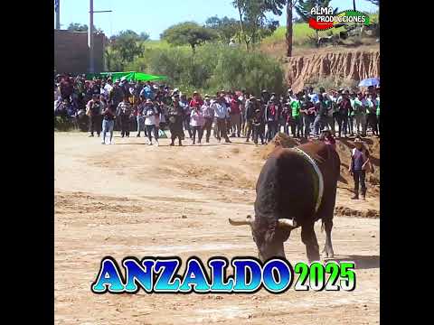 ANZALDO 2025- Toro Tinku, Encuentro "Choklo-Loco Jr."#shortsviral  #almaproduccionesbolivia #alma