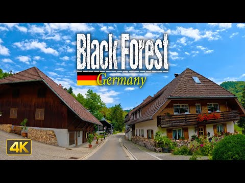 Driving through the Black Forest in Germany 🇩🇪 FULL-length 6 Hour Drive [Driver's View]