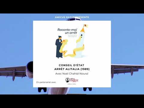 Raconte-moi un arrêt - Conseil d'État, Alitalia (1989)