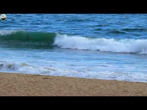 Fall Asleep Fast - Listen to Ocean Wave Sounds | Episode - 90