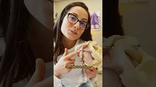 Download lagu Better Orgasms?! Doctor Reacts mp3 Download lagu Better Orgasms?! Doctor Reacts mp3