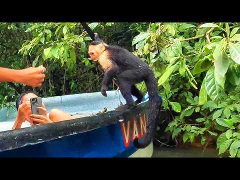 Monkey Island Gatun Lake Tour in Panama