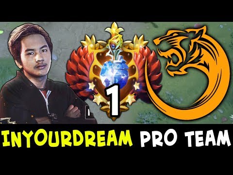 InYourDream new PRO TEAM — FIRST match in TNC Tiger