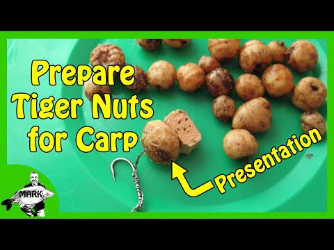 Preparing Tiger Nuts for Carp Fishing