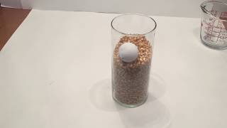 POPCORN BUOYANCY EXPERIMENT
