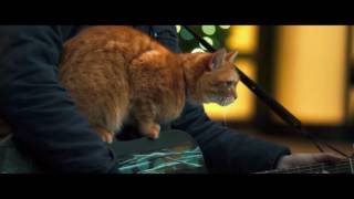 A Street Cat Named Bob - Silent Night Clip - At Cinemas Now