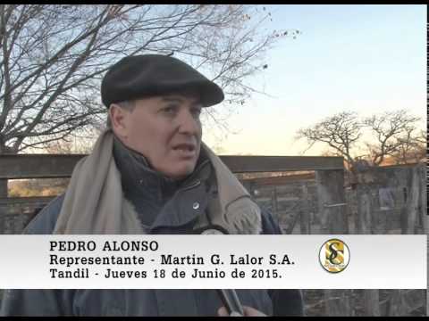18-06-15 Nota Pedro Alonso - Martin G. Lalor S.A. - Tandil.