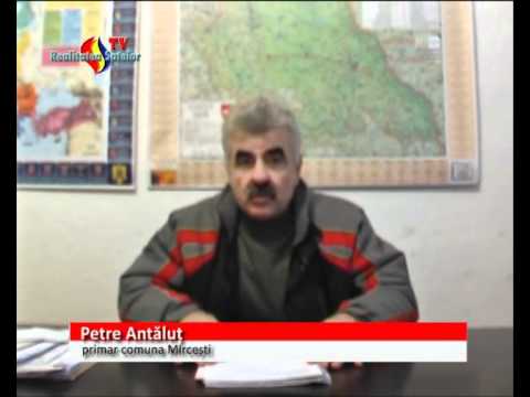 Mesajul primarului Petre ANTALUT - comuna MIRCESTI