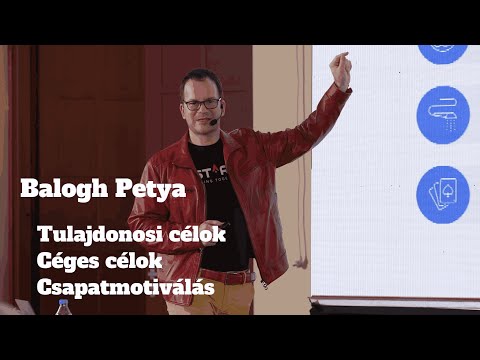 Balogh Petya: Tulajdonosi célok, Céges célok, Csapatmotiválás