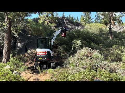 Removing Brush with the CMP Hydra Grapple HG51 on Bobcat E26