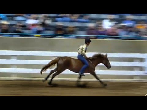 2012 Extreme Mustang Makeover Winning Performance - Elisa Wallace & Fledge