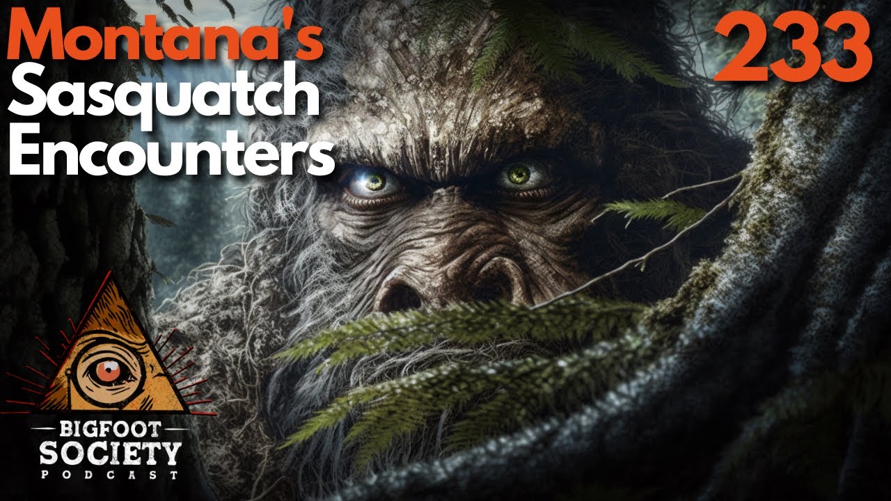 A Hunter's Close Encounters with Sasquatch in Montana's Tobacco Root Mountains