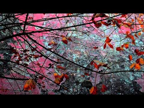 L'isola della paura (Shutter Island) di Giulia Boffo