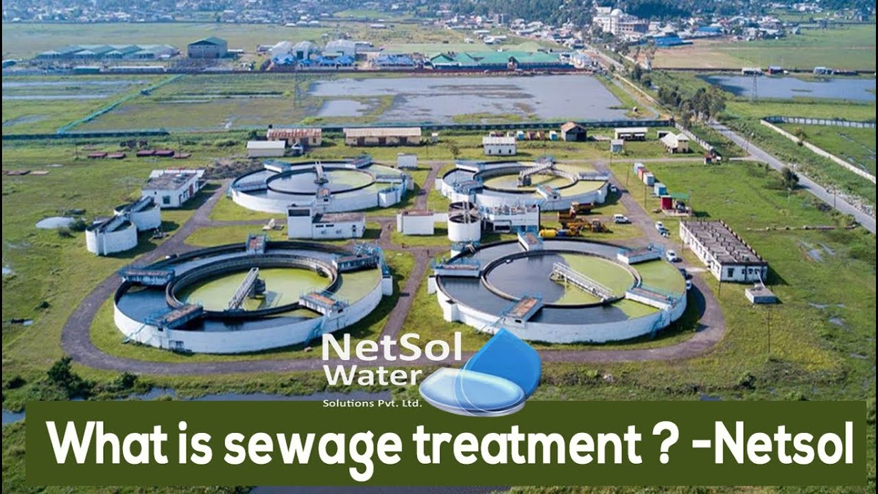 What is Sewage Treatment Plant (STP Plant)? All the detailed about Wastewater - Netsol Water