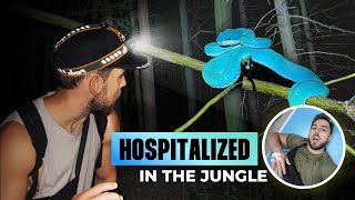 Download lagu Hunting the Legendary Blue Viper of Lombok Island, Indonesia 🇮🇩 mp3