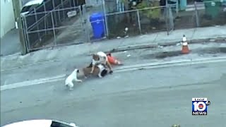 Video shows dog attacking Miami-Dade employee