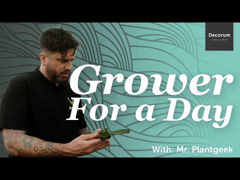 GROWER FOR A DAY - Episode 2  ( With: Mr. Plant Geek )