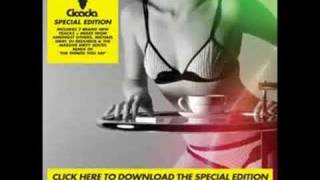 Cicada - Harmonic