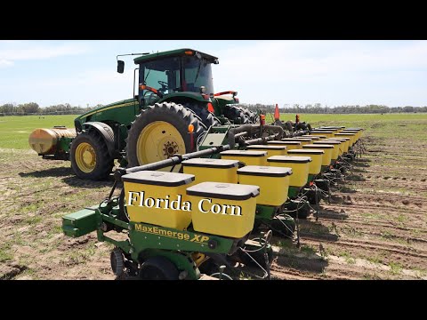 Planting corn in Florida.