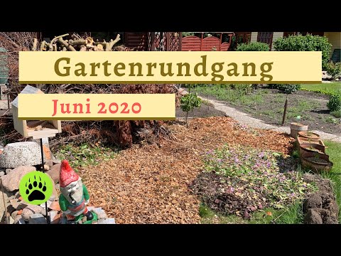 Gartenrundgang - Juni 2020 - Garten ohne Rasen - 🎬 34