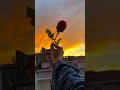 Pal Bhar Ke Liye Koi Hume Pyaar ️ Karle Status Shorts Status Viral