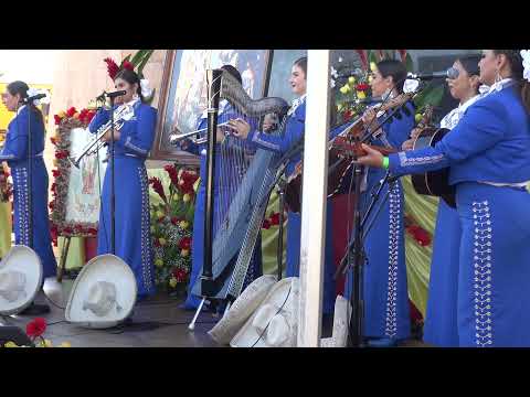 Mariachi Reyna De Los Angeles