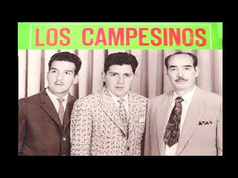 LOS CAMPESINOS EXITOS EN VIVO - VOL. 02, VIDEO