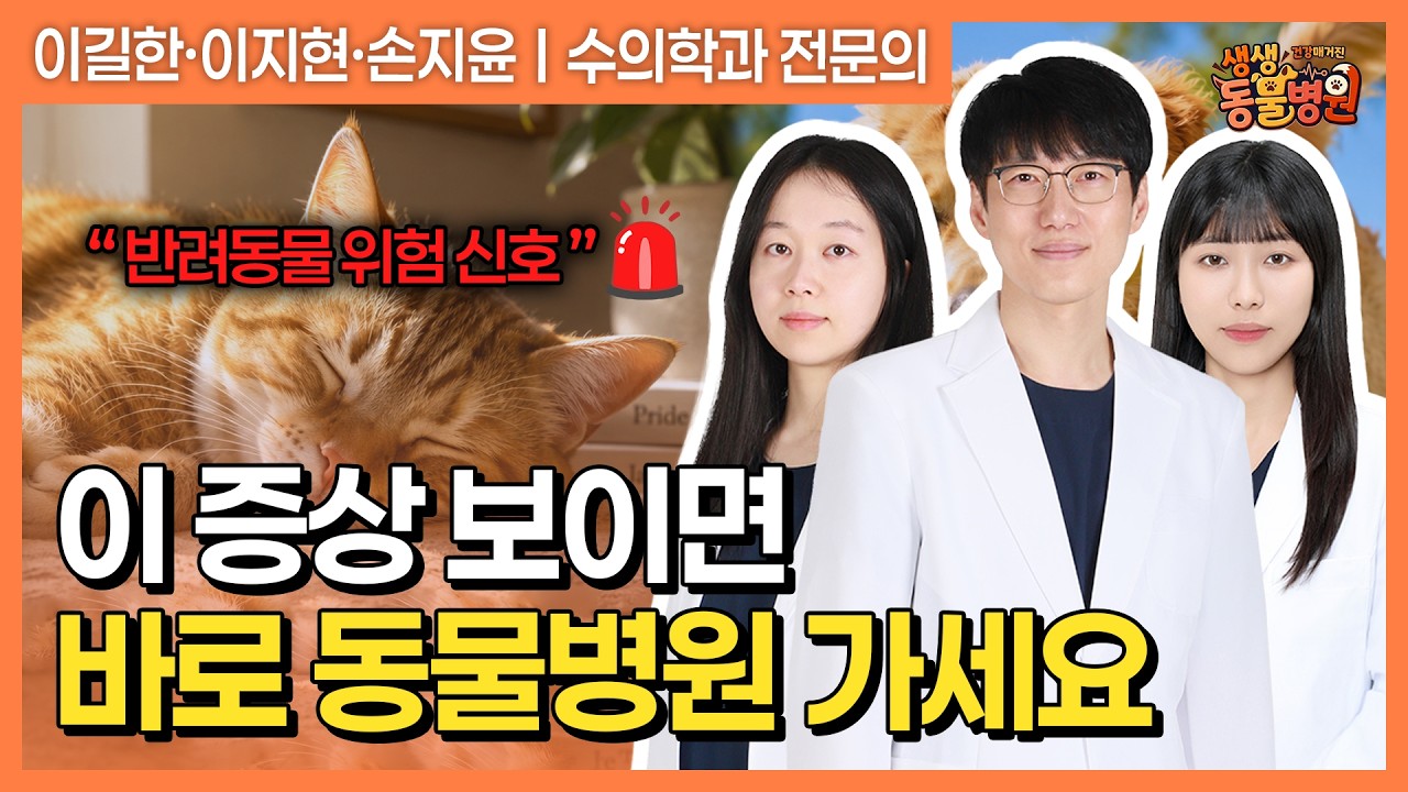 반려동물이 보내는 위험 신호! 중독·외상·심장병 응급 대처법 [건강매거진 - 생생 동물병원]