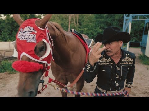 Jose Robles El Guacho - El Licenciado (Nuevo Corrido de Caballos)