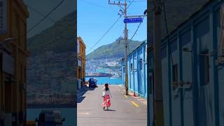 海と街が近い、夏の釜山🌊|韓国・釜山の風景