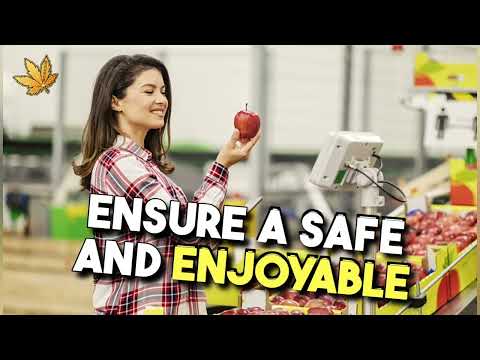 Cannabis Edibles 101: A Comprehensive Guide to Enjoying THC and CBD-infused Treats