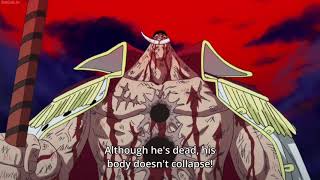 No Scar on the back – SHIROHIGE #onepiece #whitebeard