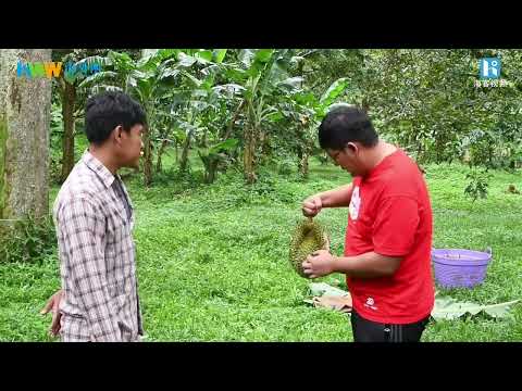 中国語学科 一颗榴莲的旅程：第一集《老家》