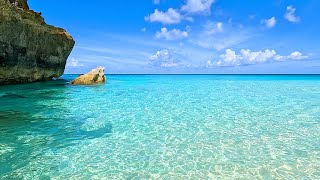 Turtle Cove: Is This the Clearest Water in the World?