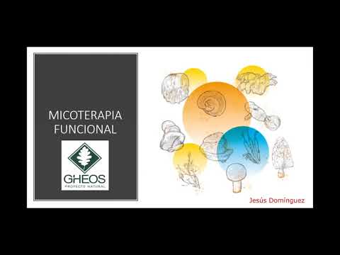 Línea MIcoterapia Funcional Gheos
