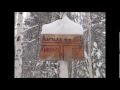 Клён Ты мой опавший Есенин, ЧАЙФ 