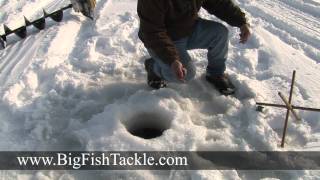 How to land big fish through the ice while ice fishing.