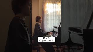 Download lagu 【弾いてみた】カノン｜パッヘルベル　#弾いてみた #ピアノ #ピアノ演奏 #ピアニスト#パッヘルベルのカノン #pachelbel #piano #pianist #classicalpianist mp3