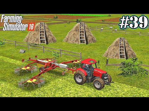 FS 16. Timelapse # 39. Grass and straw for animals. Wheat harvest.