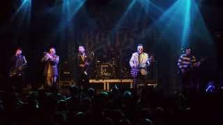 Reel Big Fish - She&#39;s Famous Now, live @ Arena