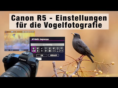 Canon R5 - Settings for wildlife and nature photography