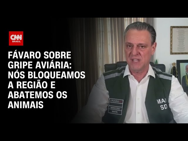 Gripe aviária: “Bloqueamos a região e abatemos os animais”, diz ministro da Agricultura | CNN 360°