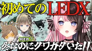 【Escape From Tarkov】初めてLEDXゲット!!冬なのにクワガタいた!!【ぶいすぽっ！/橘ひなの】