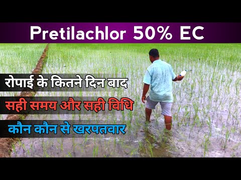 Pretilachlor 50 Herbicide