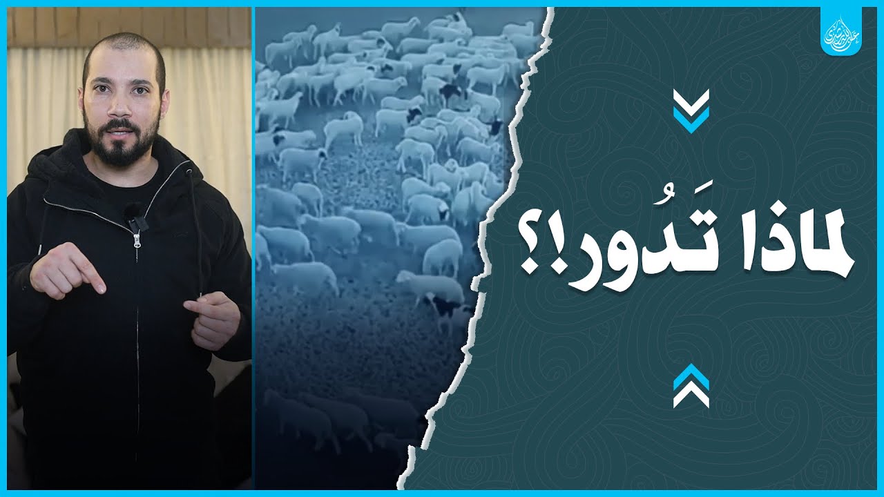 دوران الحيوانات