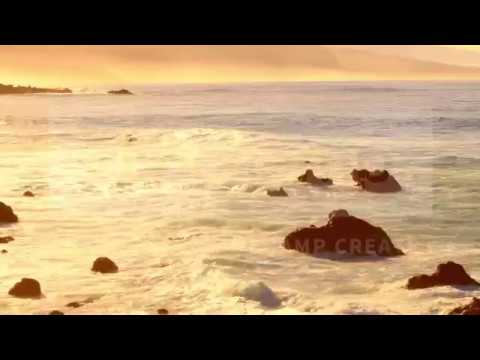 Number One Blo Mi -Mcdonald Taylor -2019 PNG MUsic