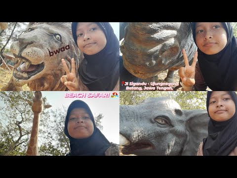 🧚 ; beach safari 🏖️ #vlog