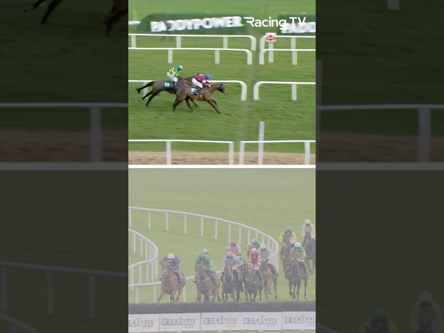 Thumbnail for Post ID: dXdPfxsetvA