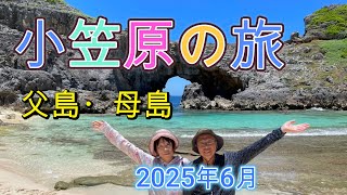 小笠原の旅 父島・母島 2025年6月