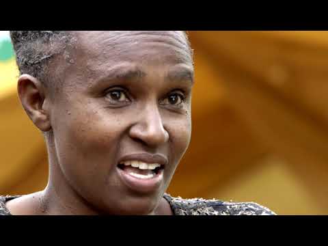 Shamba Shape Up Sn 11 - Ep 3: Forage production, Soil Test, Push-Pull & Avocado Irrigation(English)